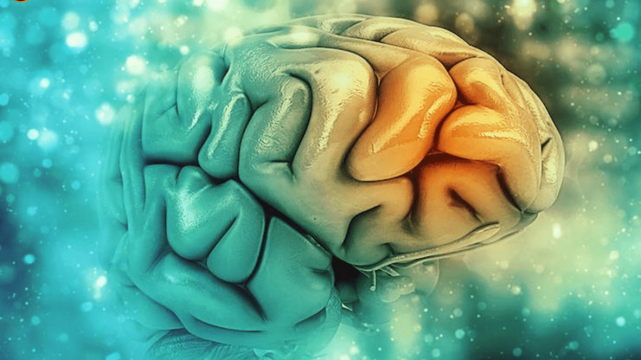 Mind Muscle Makes The Difference Between Failure And Success