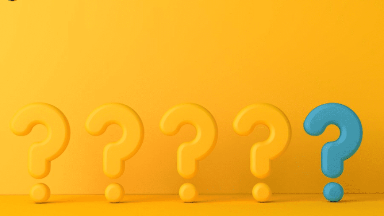 Why Are We Together In Startup Frat?